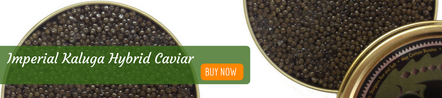 Imperial Kaluga Hybrid Caviar