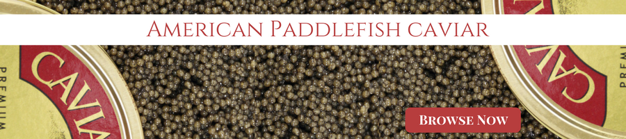 american paddlefish caviar
